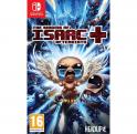 The Binding of Isaac: Afterbirth+