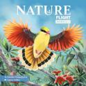 Nature: Module 1 - Flight